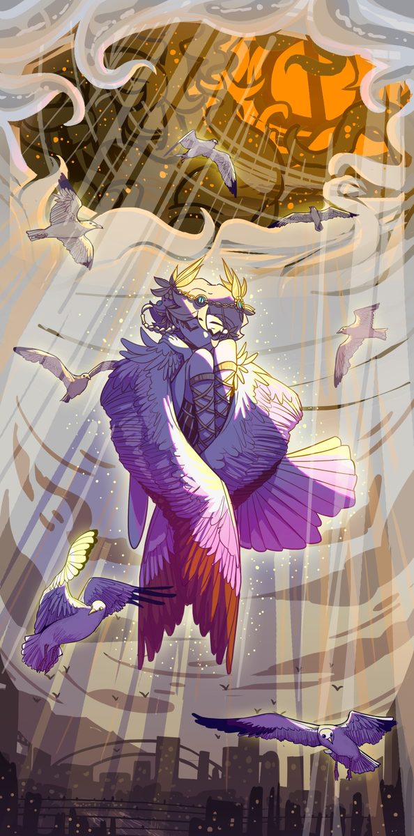 海鸥